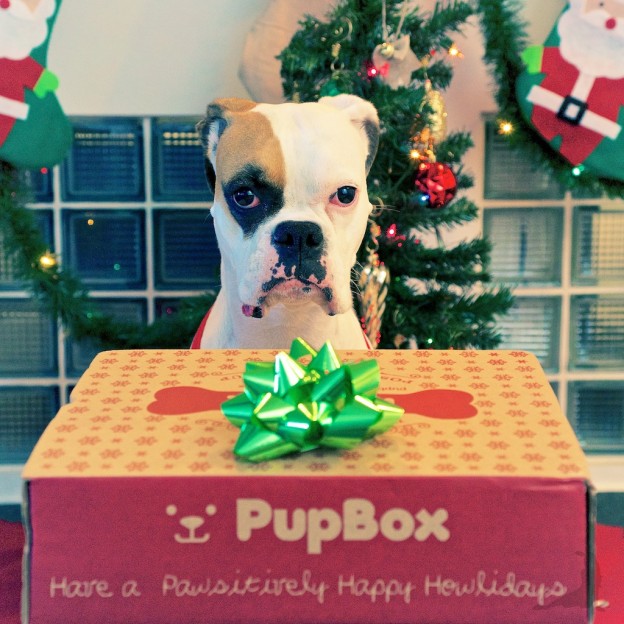 White Boxer Gifts white boxer ts