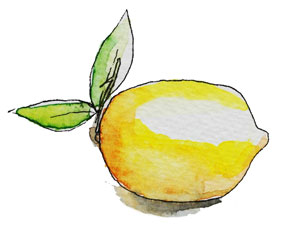 Lemon-illustration
