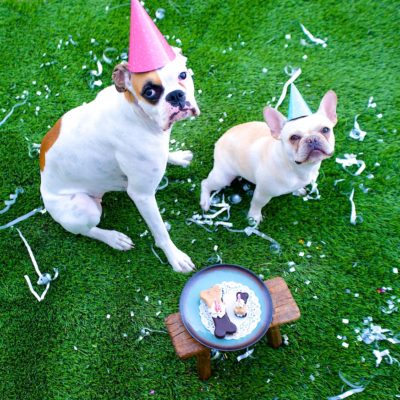 Ain’t No Party Like a Doggie Party!