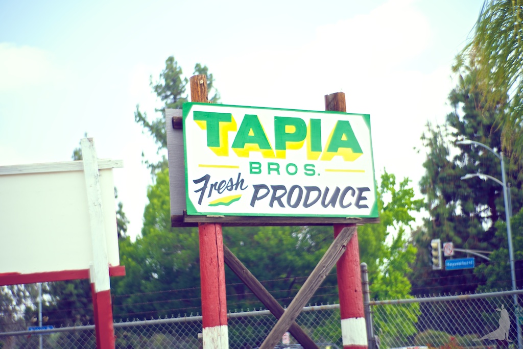 tapia-strawberry-farms-gypsy-junkies-free-people DSC_7320